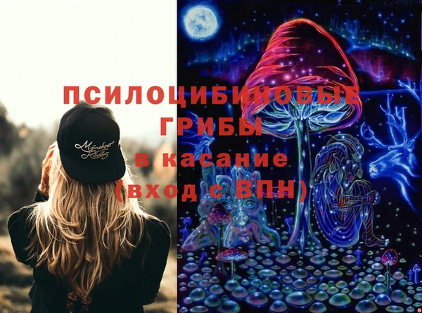 крисы Киреевск