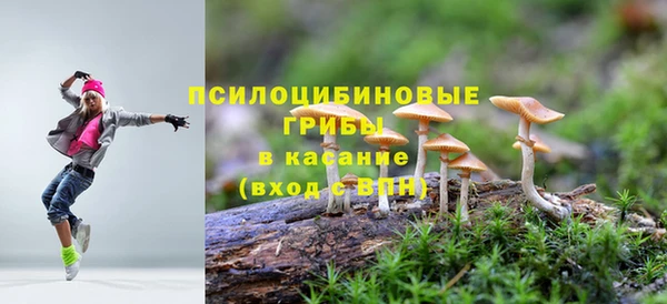 крисы Киреевск