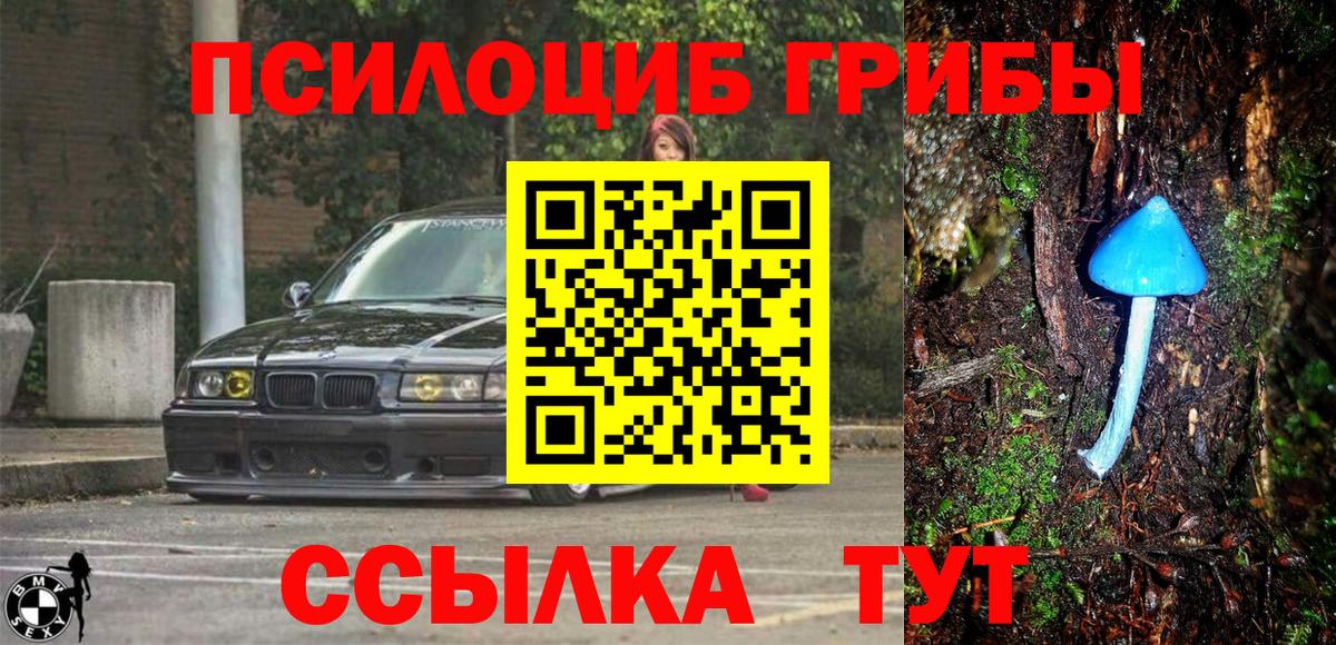 Галлюциногенные грибы Cubensis Екатеринбург
